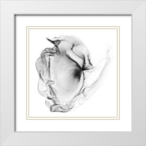 Veiled Illusions III White Modern Wood Framed Art Print with Double Matting by Curinga, Kim