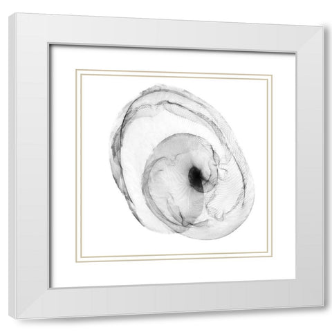 Veiled Illusions IV White Modern Wood Framed Art Print with Double Matting by Curinga, Kim