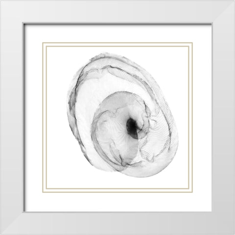 Veiled Illusions IV White Modern Wood Framed Art Print with Double Matting by Curinga, Kim