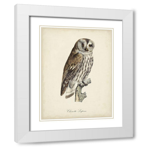 French Owls III White Modern Wood Framed Art Print with Double Matting by de Langlois