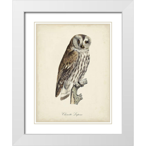 French Owls III White Modern Wood Framed Art Print with Double Matting by de Langlois