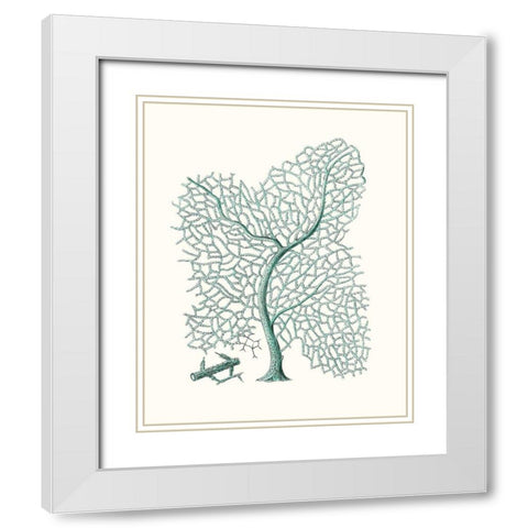 Antique Coastal Coral II White Modern Wood Framed Art Print with Double Matting by Esper, Johann