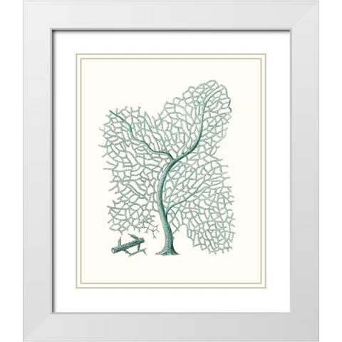 Antique Coastal Coral II White Modern Wood Framed Art Print with Double Matting by Esper, Johann