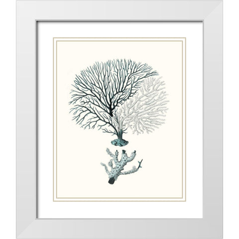 Antique Coastal Coral III White Modern Wood Framed Art Print with Double Matting by Esper, Johann