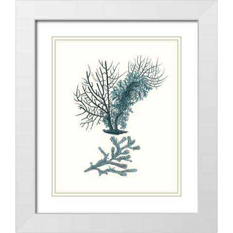 Antique Coastal Coral VI White Modern Wood Framed Art Print with Double Matting by Esper, Johann