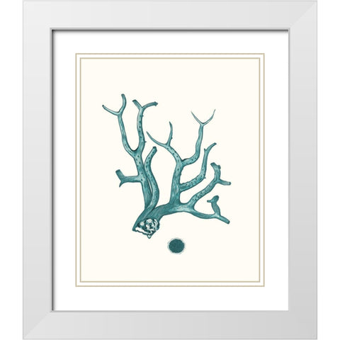 Antique Coastal Coral IX White Modern Wood Framed Art Print with Double Matting by Esper, Johann