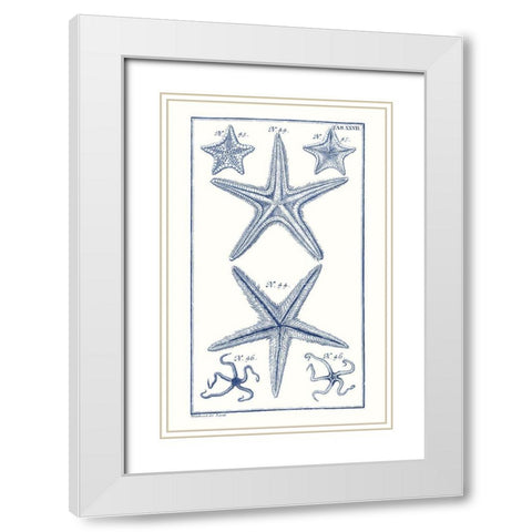 Blue Sea Stars I White Modern Wood Framed Art Print with Double Matting by Vision Studio