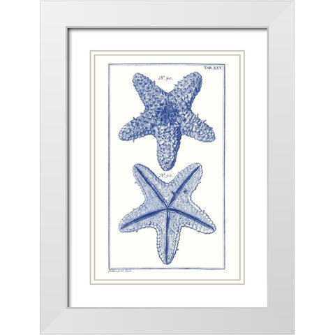 Blue Sea Stars IV White Modern Wood Framed Art Print with Double Matting by Vision Studio