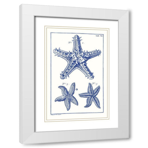 Blue Sea Stars V White Modern Wood Framed Art Print with Double Matting by Vision Studio