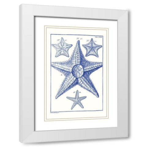 Blue Sea Stars VI White Modern Wood Framed Art Print with Double Matting by Vision Studio