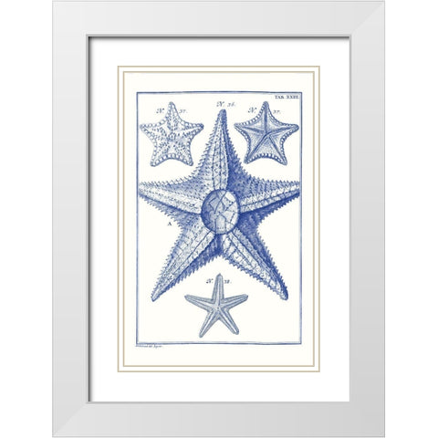 Blue Sea Stars VI White Modern Wood Framed Art Print with Double Matting by Vision Studio