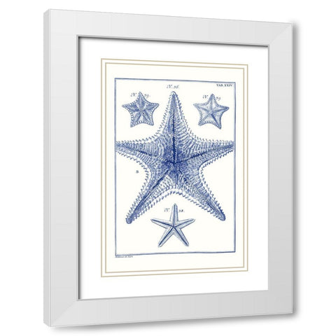 Blue Sea Stars VIII White Modern Wood Framed Art Print with Double Matting by Vision Studio