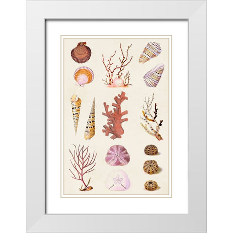 Coral And Shell Collage II White Modern Wood Framed Art Print with Double Matting by Vision Studio