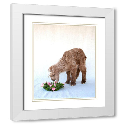 Friday Smelling Roses White Modern Wood Framed Art Print with Double Matting by Soderman, Tania