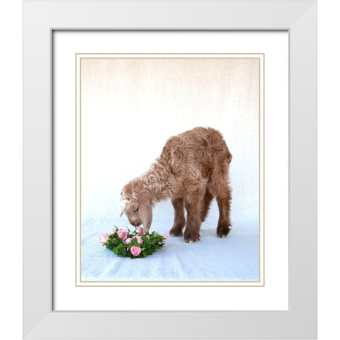 Friday Smelling Roses White Modern Wood Framed Art Print with Double Matting by Soderman, Tania