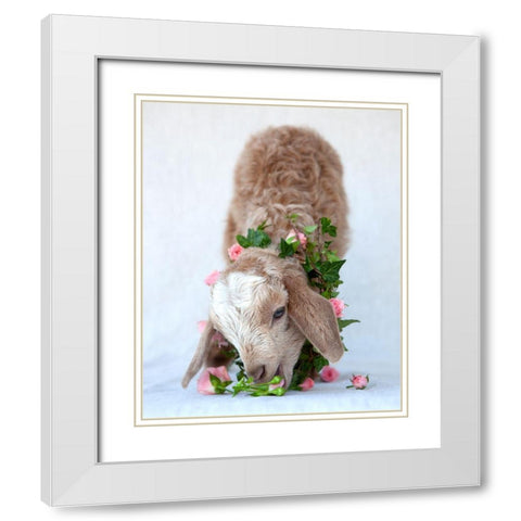 Friday Eating Roses White Modern Wood Framed Art Print with Double Matting by Soderman, Tania