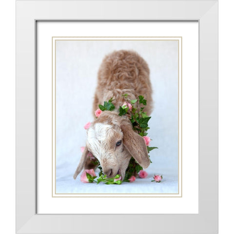 Friday Eating Roses White Modern Wood Framed Art Print with Double Matting by Soderman, Tania