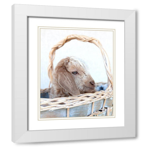 Friday in Basket I White Modern Wood Framed Art Print with Double Matting by Soderman, Tania