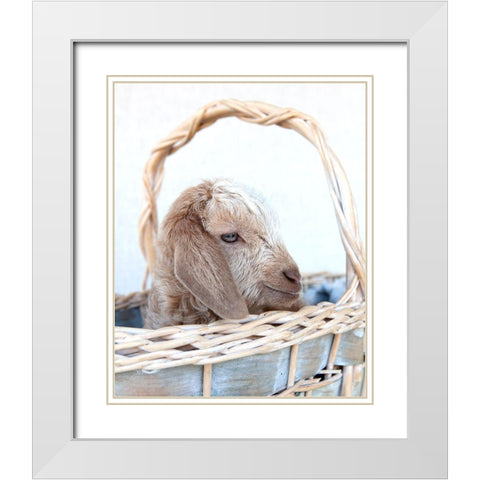 Friday in Basket I White Modern Wood Framed Art Print with Double Matting by Soderman, Tania