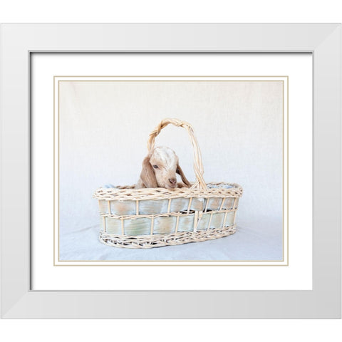 Friday in Basket II White Modern Wood Framed Art Print with Double Matting by Soderman, Tania