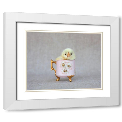 Chick in Pink Cup White Modern Wood Framed Art Print with Double Matting by Soderman, Tania