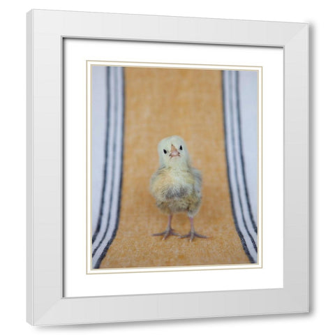 Chick on Ochre Napkin I White Modern Wood Framed Art Print with Double Matting by Soderman, Tania