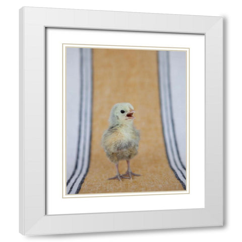 Chick on Ochre Napkin II White Modern Wood Framed Art Print with Double Matting by Soderman, Tania