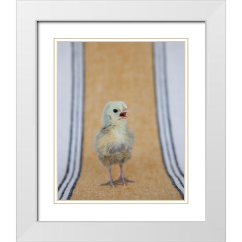 Chick on Ochre Napkin II White Modern Wood Framed Art Print with Double Matting by Soderman, Tania
