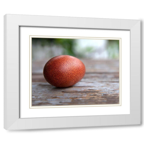Egg on Wood White Modern Wood Framed Art Print with Double Matting by Soderman, Tania