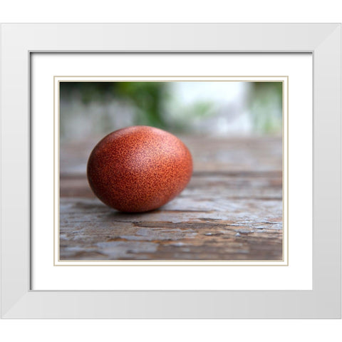 Egg on Wood White Modern Wood Framed Art Print with Double Matting by Soderman, Tania