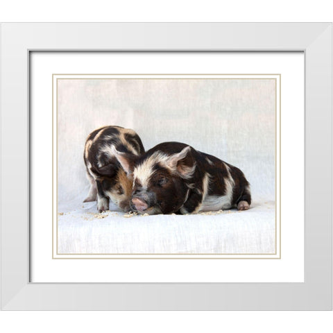 Fiona And Ferdinand III White Modern Wood Framed Art Print with Double Matting by Soderman, Tania