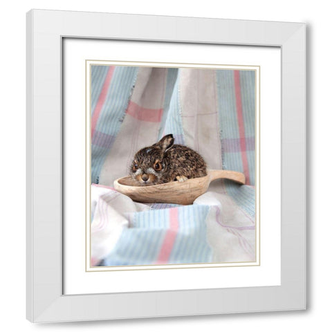 Baby Rabbit I White Modern Wood Framed Art Print with Double Matting by Soderman, Tania