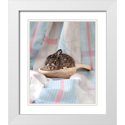 Baby Rabbit I White Modern Wood Framed Art Print with Double Matting by Soderman, Tania
