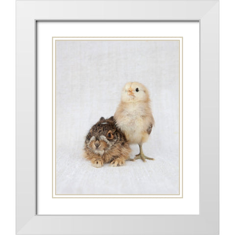 Chick And Baby Rabbit White Modern Wood Framed Art Print with Double Matting by Soderman, Tania