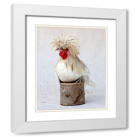Rod the Rooster I White Modern Wood Framed Art Print with Double Matting by Soderman, Tania