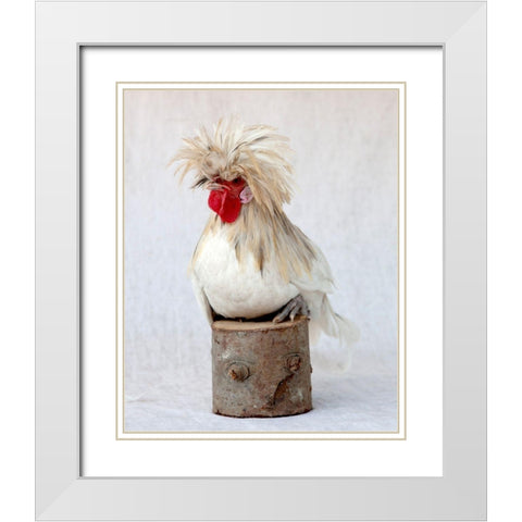 Rod the Rooster I White Modern Wood Framed Art Print with Double Matting by Soderman, Tania