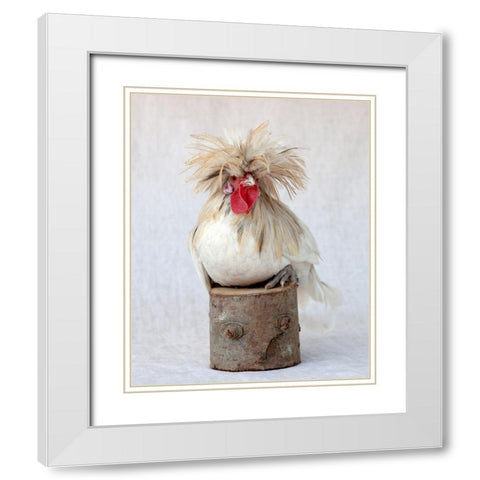 Rod the Rooster II White Modern Wood Framed Art Print with Double Matting by Soderman, Tania