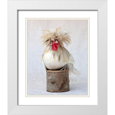 Rod the Rooster II White Modern Wood Framed Art Print with Double Matting by Soderman, Tania