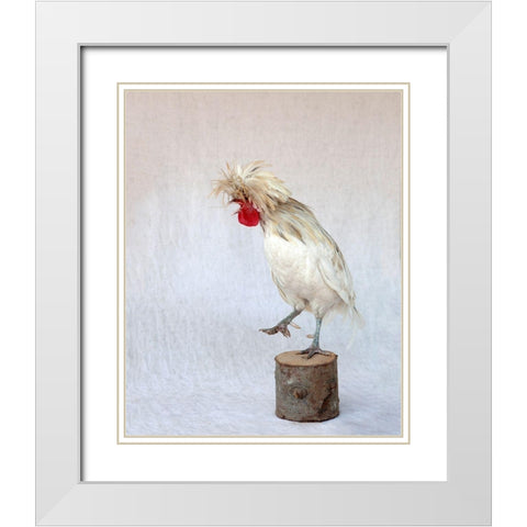 Rod the Rooster IV White Modern Wood Framed Art Print with Double Matting by Soderman, Tania