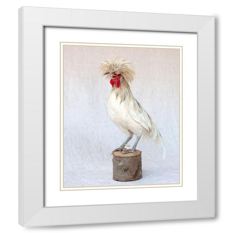 Rod the Rooster V White Modern Wood Framed Art Print with Double Matting by Soderman, Tania