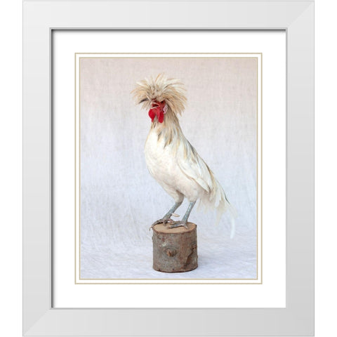 Rod the Rooster V White Modern Wood Framed Art Print with Double Matting by Soderman, Tania