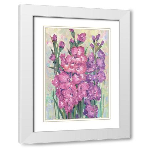Gladiolas Blooming I White Modern Wood Framed Art Print with Double Matting by OToole, Tim
