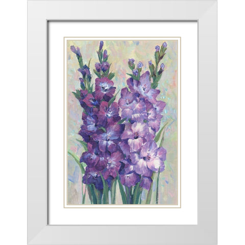 Gladiolas Blooming II White Modern Wood Framed Art Print with Double Matting by OToole, Tim