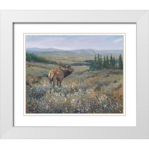 Western Wildlife I White Modern Wood Framed Art Print with Double Matting by OToole, Tim