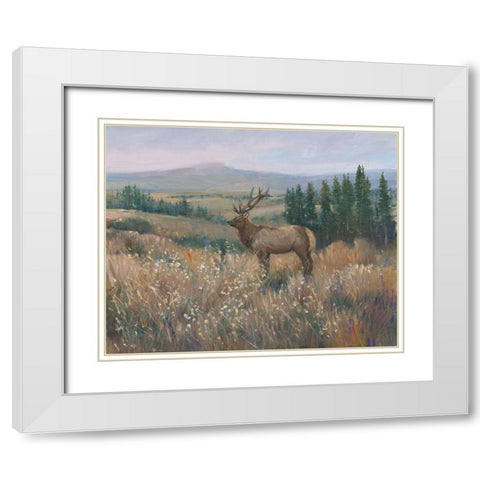 Western Wildlife II White Modern Wood Framed Art Print with Double Matting by OToole, Tim