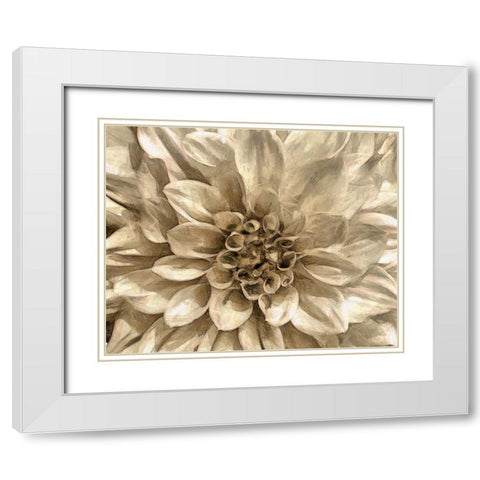 Neutral Wall Flower I White Modern Wood Framed Art Print with Double Matting by Saunders, Alonzo