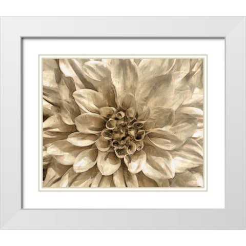 Neutral Wall Flower I White Modern Wood Framed Art Print with Double Matting by Saunders, Alonzo