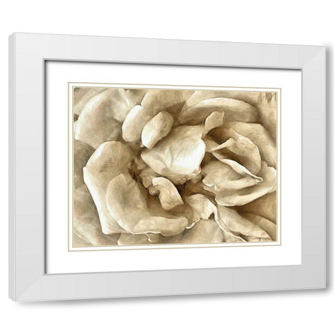 Neutral Wall Flower II White Modern Wood Framed Art Print with Double Matting by Saunders, Alonzo