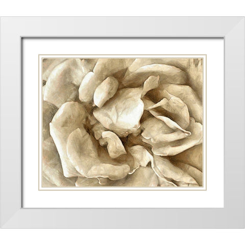 Neutral Wall Flower II White Modern Wood Framed Art Print with Double Matting by Saunders, Alonzo