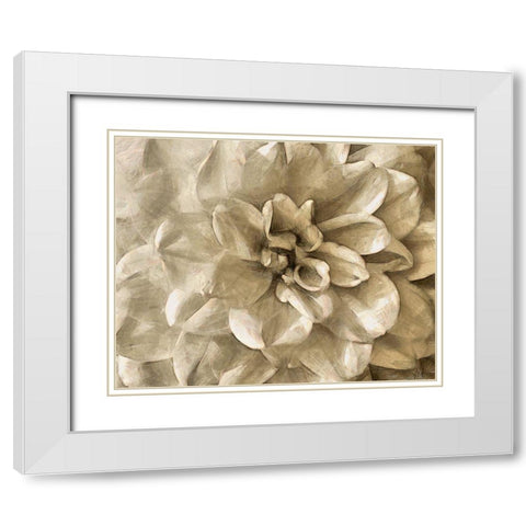 Neutral Wall Flower III White Modern Wood Framed Art Print with Double Matting by Saunders, Alonzo